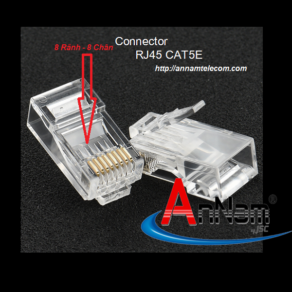 Cách phân biệt hạt mạng cat5e với hạt mạng cat6