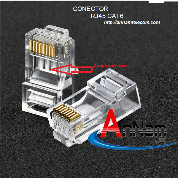 Cách phân biệt hạt mạng cat5e với hạt mạng cat6