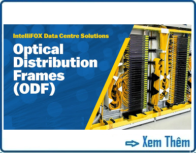 Dây quang - ODF - ANRACK
