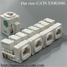 Hạt mạng Cat6 SINO S30RJ886-Ổ cắm mạng RJ45